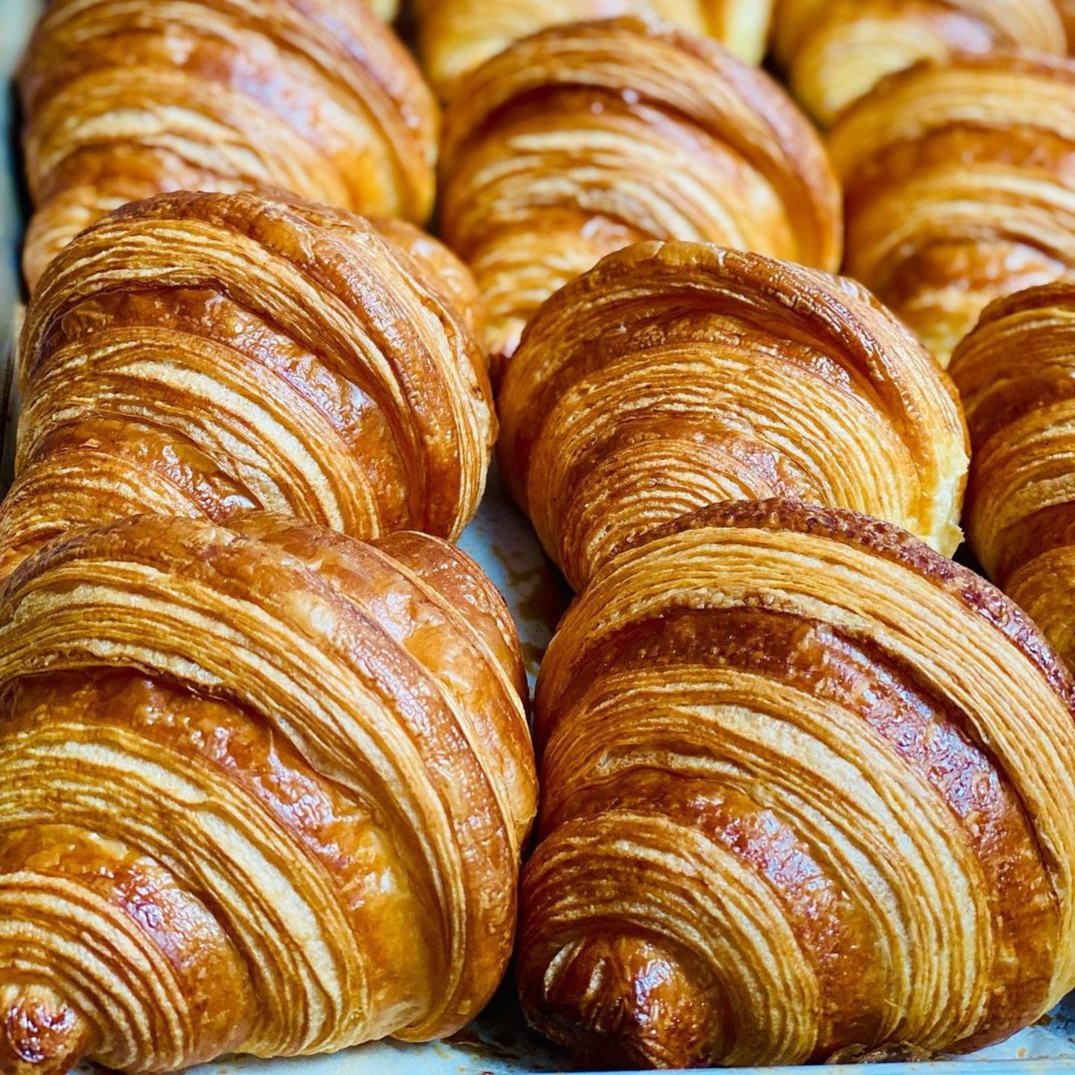 Pastry Cream Filled Croissant Take and Bake Pastries