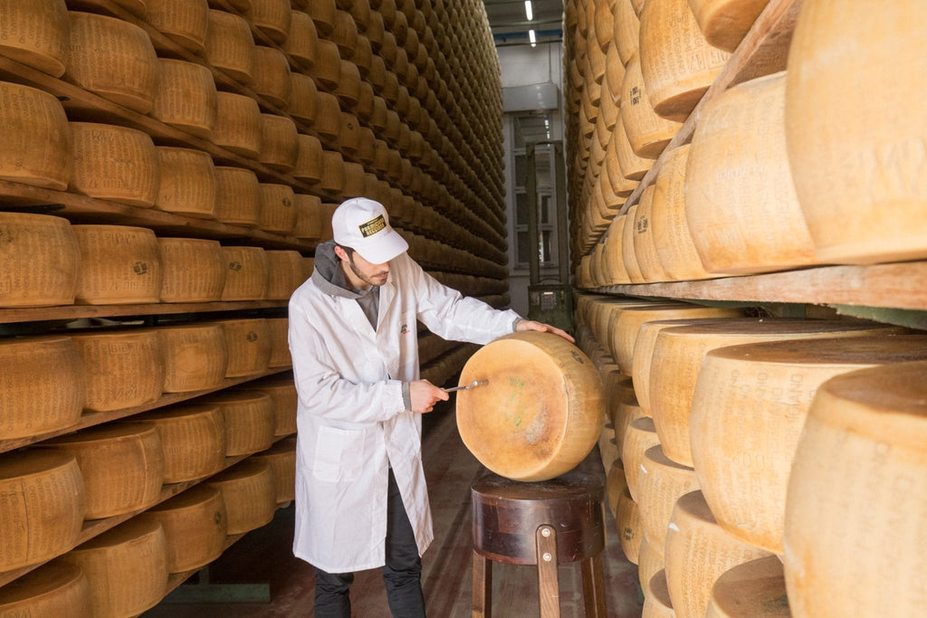 Parmigiano Reggiano DOP Mitica® Di Montagna