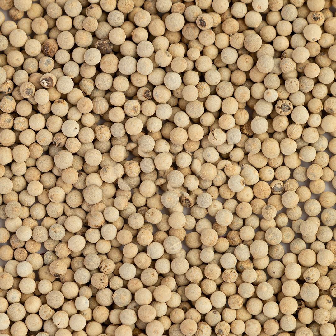 White Peppercorn
